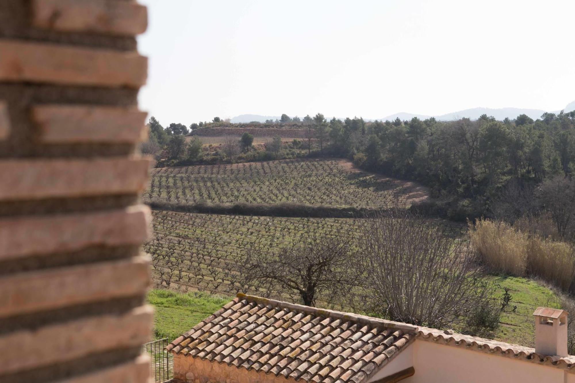Casa Rural Masia Les Apieres El Pla de Manlleu Bagian luar foto