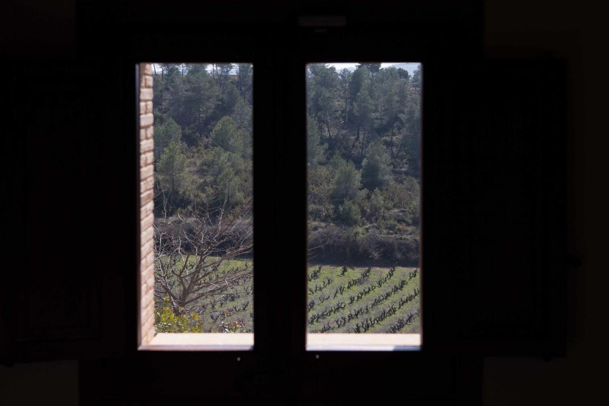 Casa Rural Masia Les Apieres El Pla de Manlleu Ruang foto